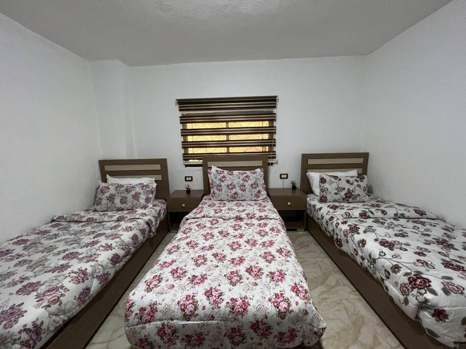 Z3 Apartment 와디무사 외부 사진