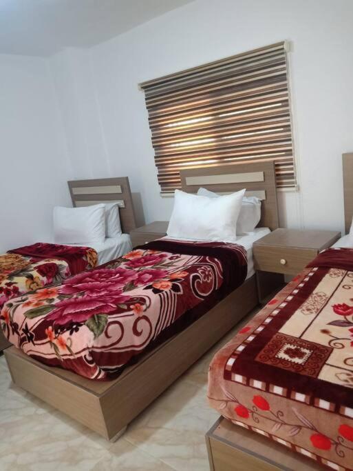 Z3 Apartment 와디무사 외부 사진