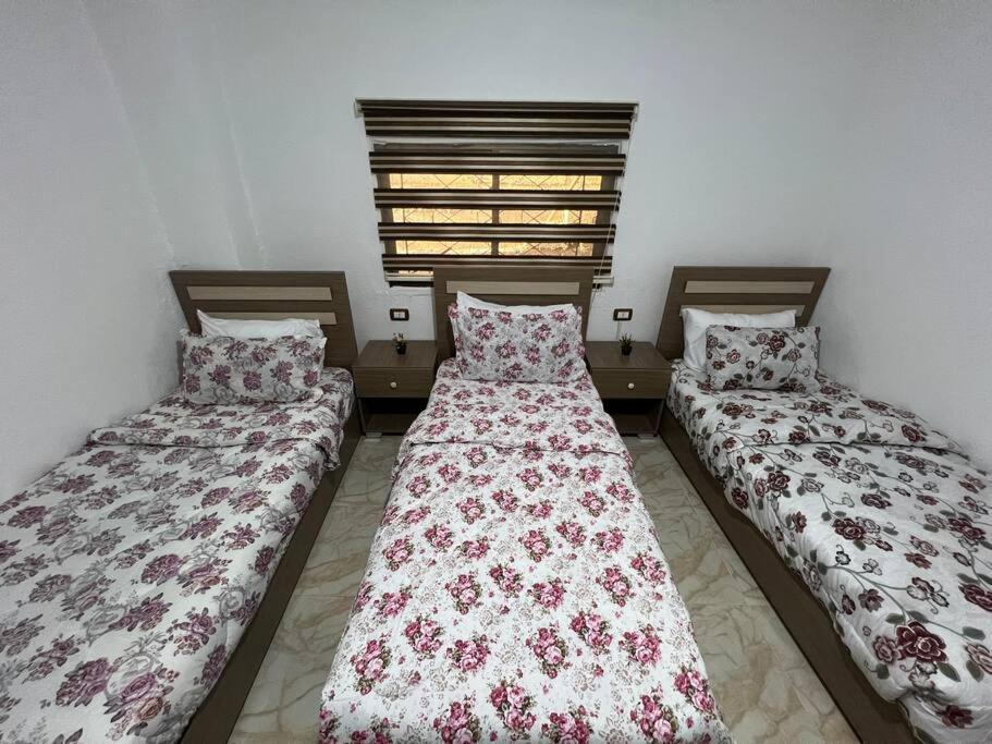 Z3 Apartment 와디무사 외부 사진