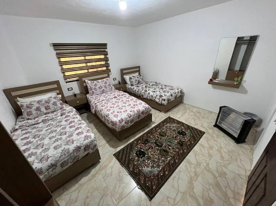 Z3 Apartment 와디무사 외부 사진